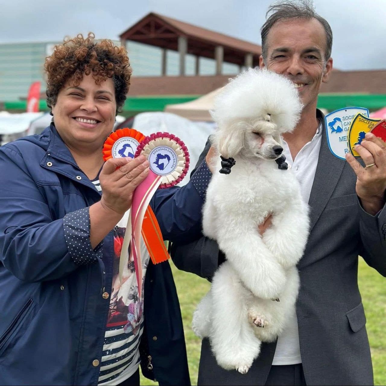 Peluquería canina y felina