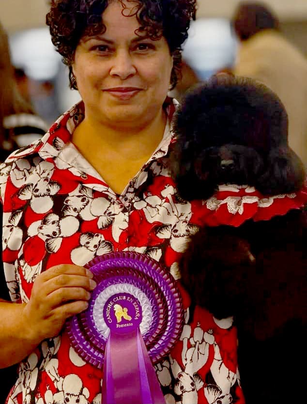 Peluquería Canina Avenida Poodle